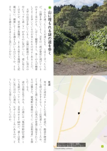 サンプル 3