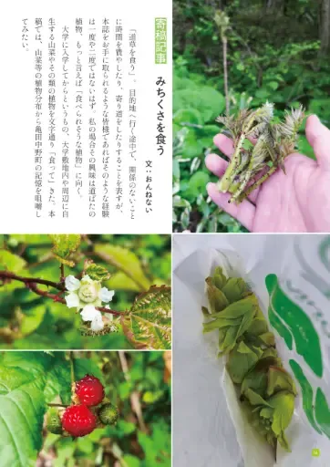 サンプル 5